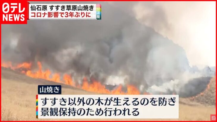 【山焼き】仙石原すすき草原 コロナの影響で3年ぶり 神奈川･箱根町