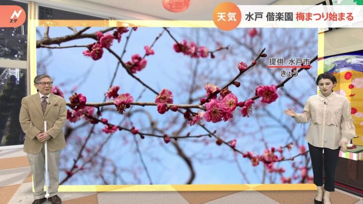 【3月2日関東の天気】寒さで遅れた梅の開花