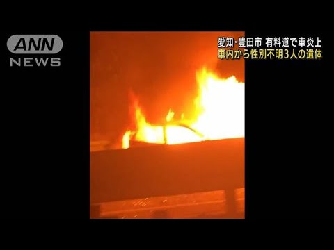有料道路で車が炎上　中から性別不明3人の遺体(2022年3月28日)