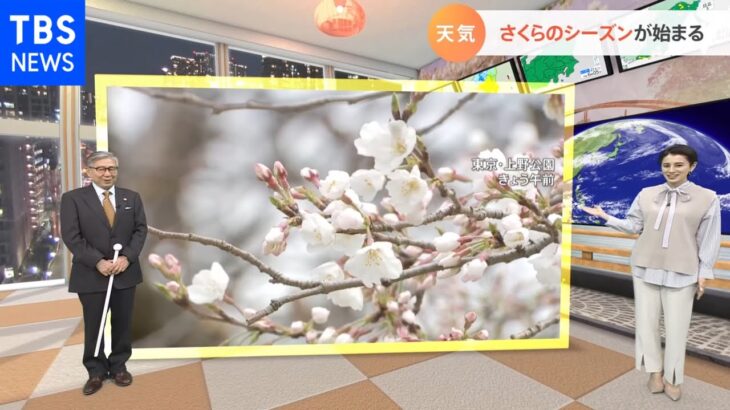 【3月22日関東の天気予報】 寒さ再び さくらも足踏み?