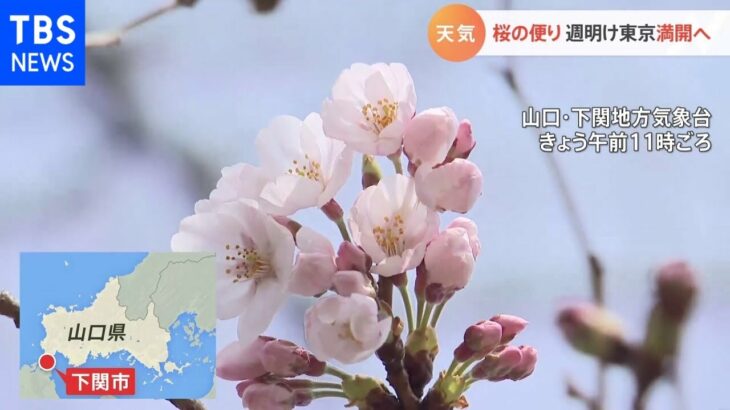 【3月26日関東の天気】土日 春の嵐のち20℃超え