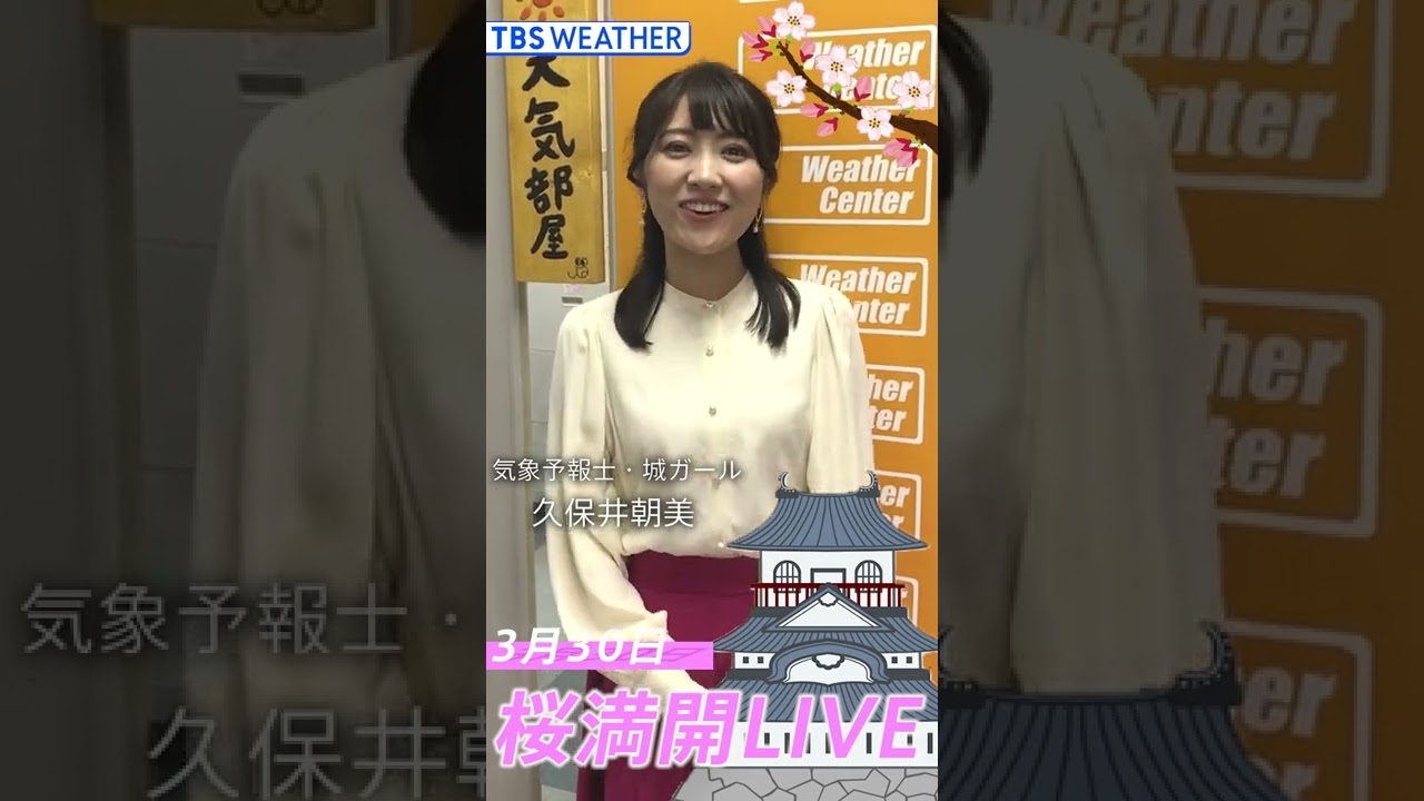 【3月30日 20時00分～】久保井朝美予報士がお届けする「シーズン到来！桜満開ＬＩＶＥ」 #shorts