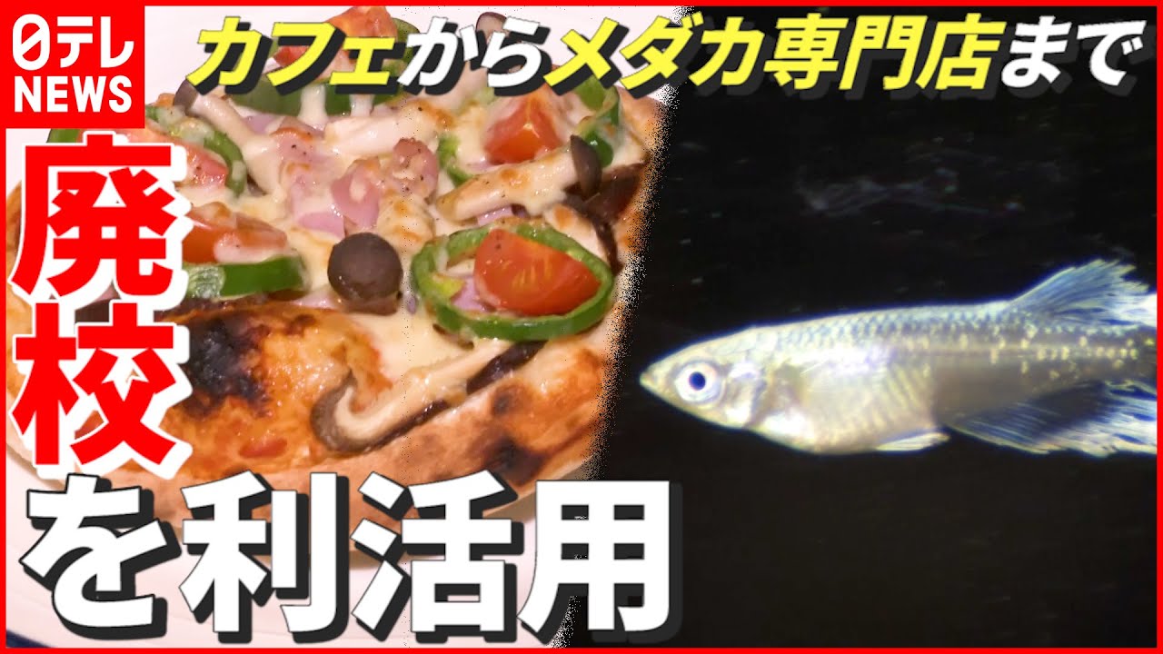 【地域活性】毎年400校以上が廃校に…“カフェ”から“メダカ専門店”まで! 生まれ変わる“元学校” 徳島 NNNセレクション