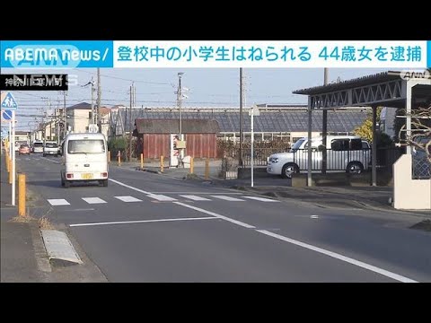 登校中の小学生を車ではねてけが　44歳女を現行犯逮捕　神奈川・寒川町(2022年3月16日)