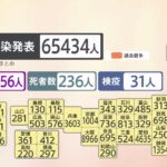 全国で5万人超の感染者 東京など4都県で死者過去最多