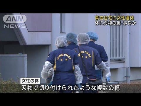栃木　県営住宅の一室に50代女性遺体　体に複数の傷(2022年3月15日)