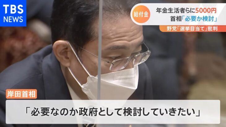 年金生活者らに5000円 首相「必要か検討」