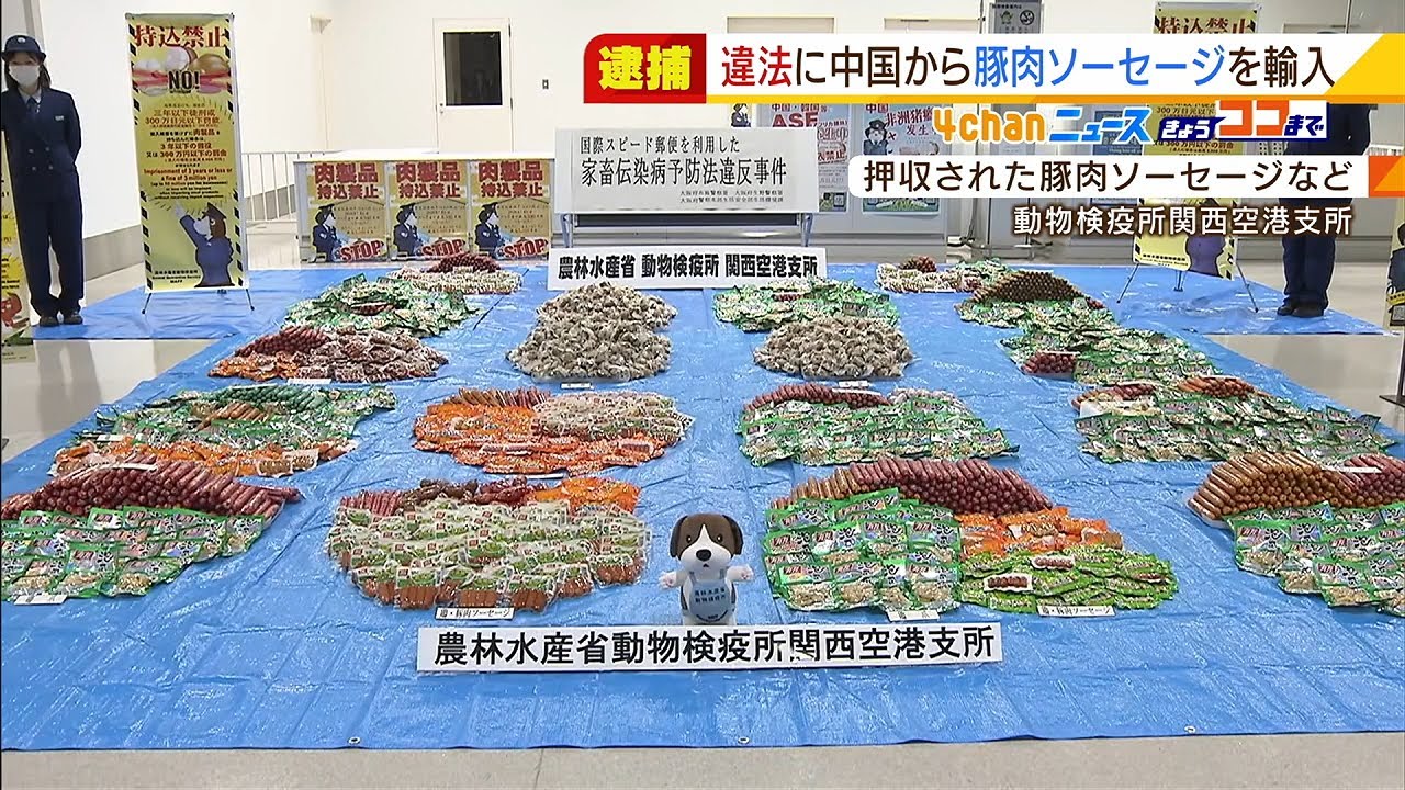 中国から『豚肉ソーセージを違法に輸入』疑いで社長逮捕 計1600万円を売り上げか(2022年3月1日)