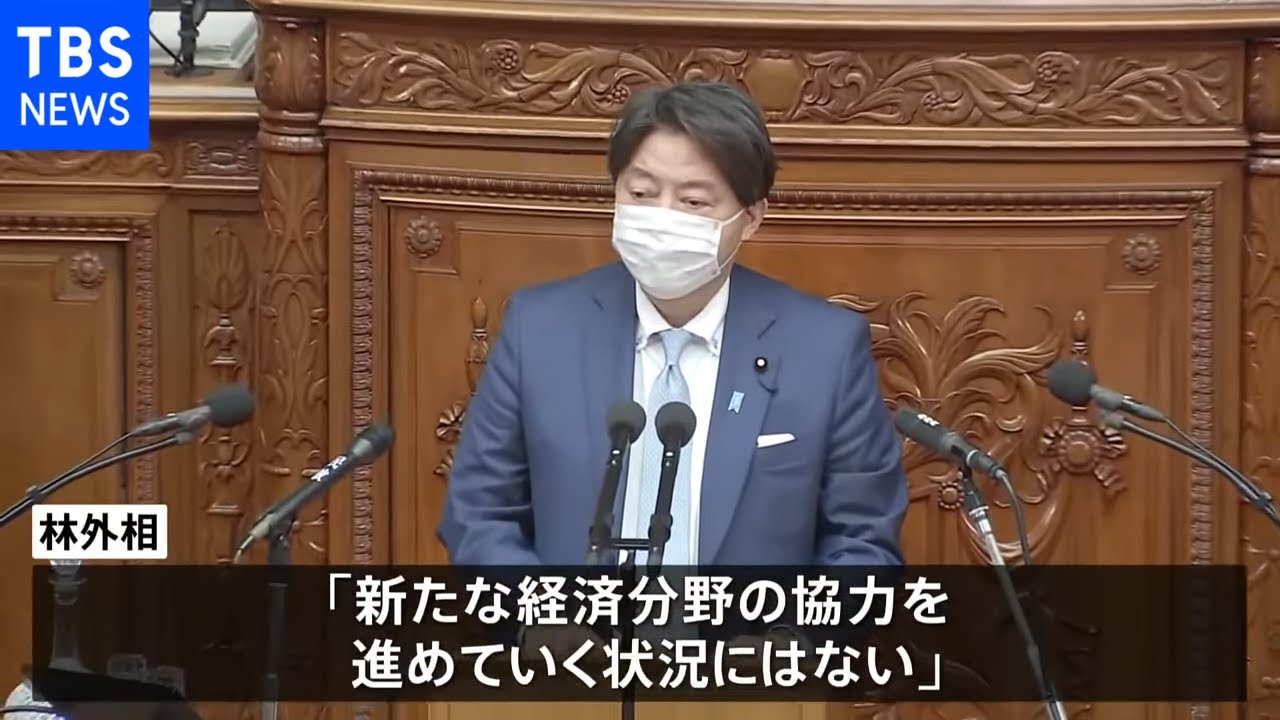 林外相、ロシアとの「８項目の経済協力」は「進めていく状況でない」