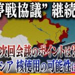 ロシア・ウクライナ”停戦協議”継続へ　今後の交渉の行方は？ロシアがチラつかせる「核」使用はある？