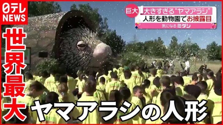 【お披露目】高さ６ｍ…巨大”ヤマアラシ”の人形 アメリカの動物園で