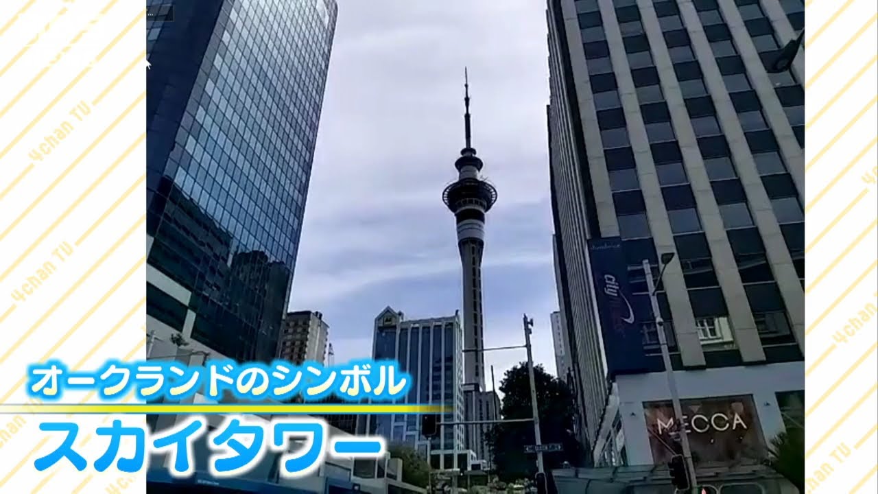 【ニュージーランドの今を体験】『高級バーガー』に『高さ325mのタワー』オンラインツアーで「オークランド」の今を共有体験(2022年3月3日)