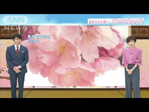 【関東の天気】桜も“カウントダウン”見ごろは？(2022年3月3日)