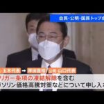 自民・公明・国民 トップ会談 協議会設置で“食い違い”