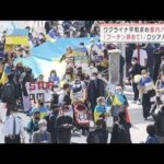 日本各地で「反戦！ウクライナ支援！」　故郷の母を想いデモ行進(2022年3月5日)
