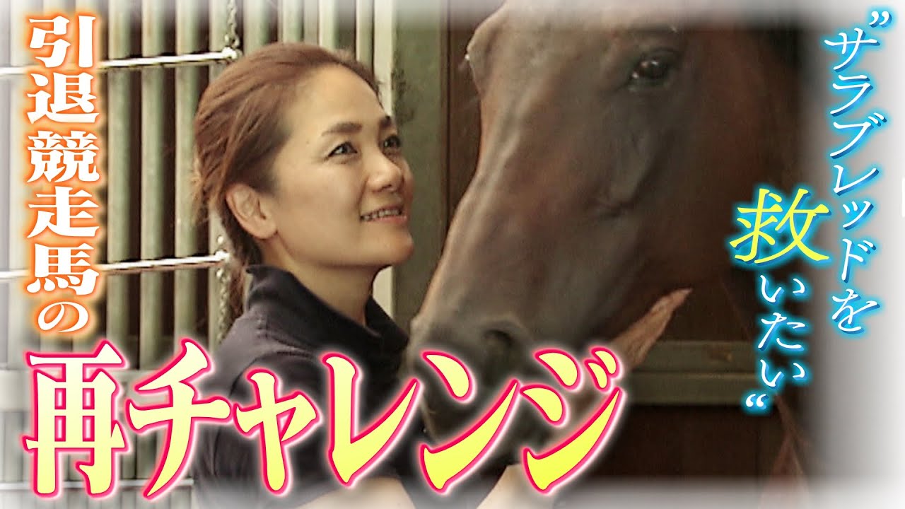 【年間５０００頭が殺処分】引退競走馬とその再チャレンジを支える夫婦「サラブレッドを救いたい」