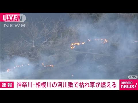 【速報】河川敷で枯れ草が燃える火災　神奈川・海老名市(2022年3月6日)