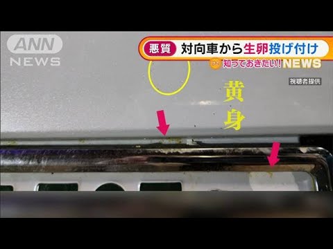 【悪質】突然の出来事・・・対向車から“生卵”投げ付け(2022年3月7日)