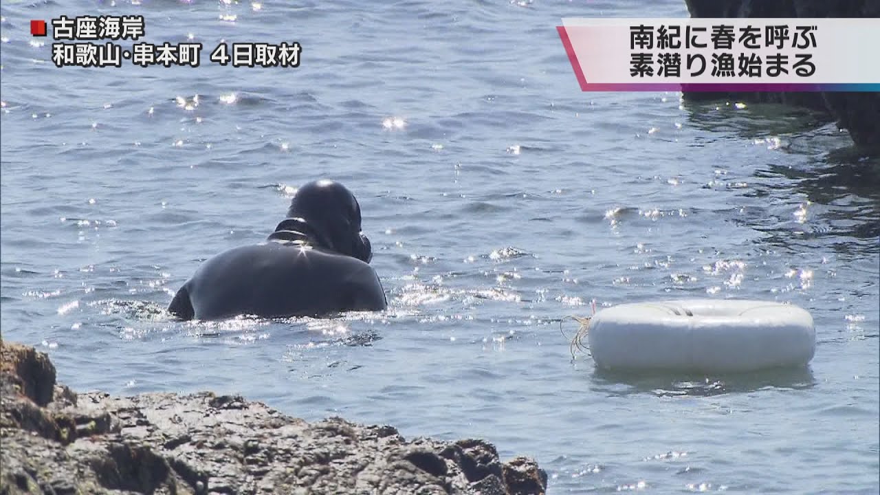 南紀に春告げる“素潜り漁”和歌山県串本町で始まる