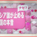 【解説】中国の本音は？”ロシア批判”を避ける“あいまいな立場”