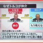 【解説】なぜ？トルコが仲介 ロシア・ウクライナ外相会談”停戦”の行方は？