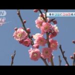 【関東の天気】春の光降り注ぎ気温上昇　週末は春本番に(2022年3月9日)