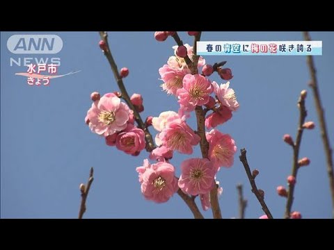 【関東の天気】春の光降り注ぎ気温上昇　週末は春本番に(2022年3月9日)