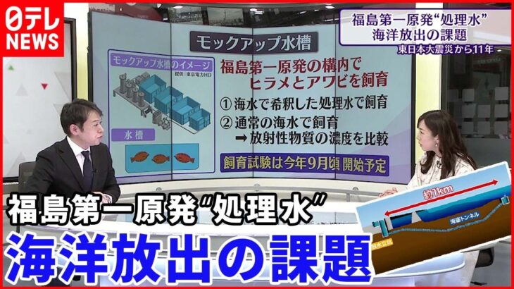 【福島第一原発】”処理水”海洋放出へ 最新装置と風評被害対策は？