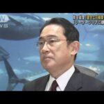 岸田総理　日韓関係改善へ「緊密に意思疎通を図る」(2022年3月10日)