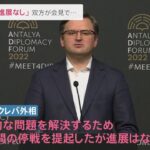 外相会談「進展なし」 双方が会見で・・・ 【トルコ・アンタルヤ報告】