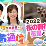 【お天気解説】今年の『桜』開花はいつ？最も早い場所は？桜の名所と防災には意外なつながりも…「気象予報士がテレビより少～し長く解説します！(2022年3月11日)