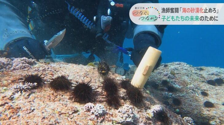 故郷の海を磯焼けから守れ！復興の先を目指すボランティアダイバー