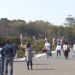 大阪で今年初めて２０℃超に　春の陽気に包まれ“半袖姿”の人たちも（2022年3月12日）