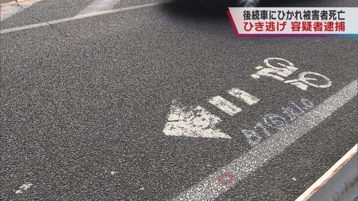 ひき逃げ男逮捕　男性、後続車にひかれ死亡「看板にぶつかったと…」【大阪府忠岡町】