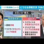 【解説】ロシアが標的拡大 米国どう動く？　テレビ朝日元アメリカ総局長・名村晃一【ABEMA NEWS】(2022年3月15日)