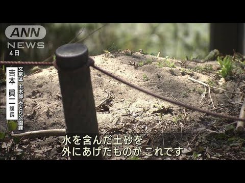 【独自】都内の公園で“産廃”土砂適切処理せず　都が公園財団など指導(2022年3月16日)