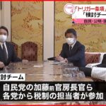 【トリガー条項】凍結解除めぐり”検討チーム”設置へ 自民･公明･国民民主の３党