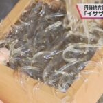 春を呼ぶ「イサザ」漁が最盛期　京都・舞鶴市　おどり食いや唐揚げなどで食卓に