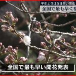 【桜開花】全国で最も早い 福岡