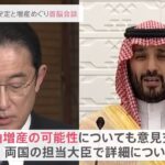 岸田首相 サウジ皇太子と電話会談 原油増産などで「突っ込んだ論」両国担当相で増産の可能性協議へ