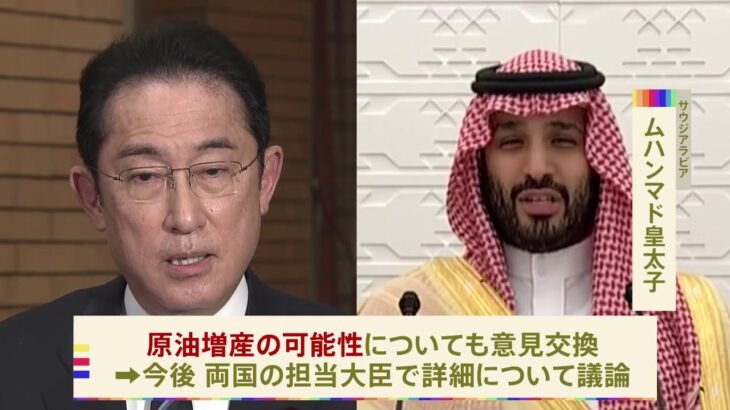 岸田首相　サウジ皇太子と原油増産など「突っ込んだ議論」　安保理改革めぐりケニアとも