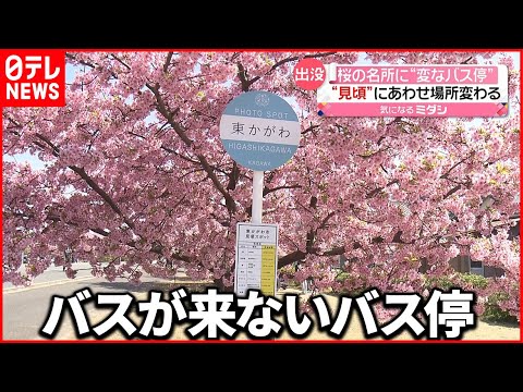【変なバス停】バス停ではなく”看板” 花のスポットをPRするため 香川