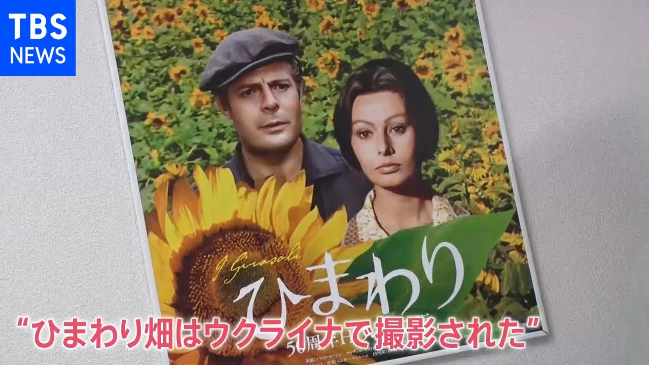 「ひまわり」で行列も 国境越えて続く日本人の「ウクライナ支援」