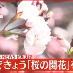 【速報】気象庁　東京できょう｢桜の開花｣を発表