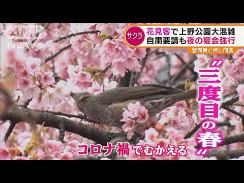 花見客で上野公園大混雑・・・自粛要請も“夜の宴会強行”酔っ払い大音量で音楽(2022年3月21日)