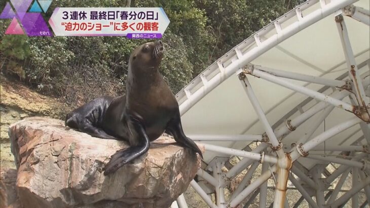 兵庫・豊岡市の城崎マリンワールド　イルカやトドなどが観客にショーを披露　家族連れが大喜び