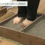 『無病息災』願う恒例の伝統行事「砂灸」砂につけた足跡にお灸をすえて『万病に効果』(2022年3月21日)