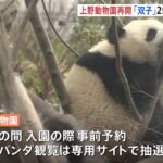 上野動物園がきょうから再開 双子パンダの観覧はあさって25日から