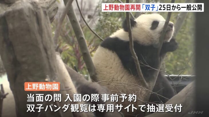 上野動物園がきょうから再開 双子パンダの観覧はあさって25日から