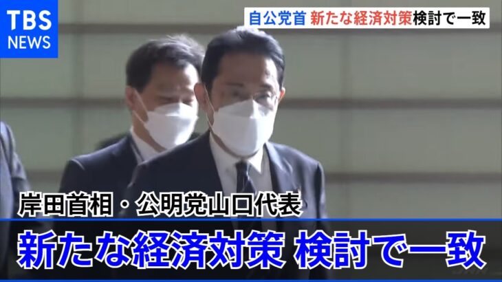 岸田首相・公明党山口代表 新たな経済対策の策定検討で一致